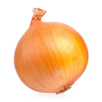 Onion (43)-1331825-81228.webp